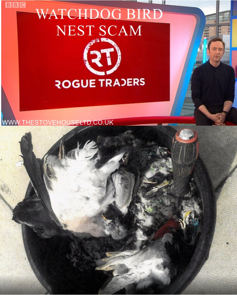 Watchdog Rogue Traders Chimney Sweep Pigeon Bird Nest Scam
