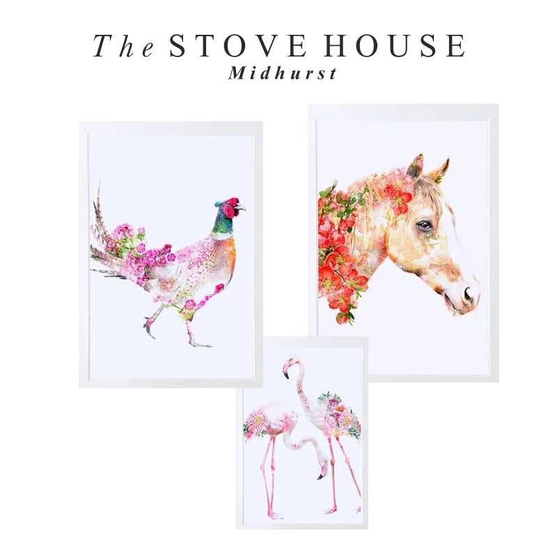 animal botanical prints and framed pictures new at The Stove House in Midhurst West Sussex 01730 810931