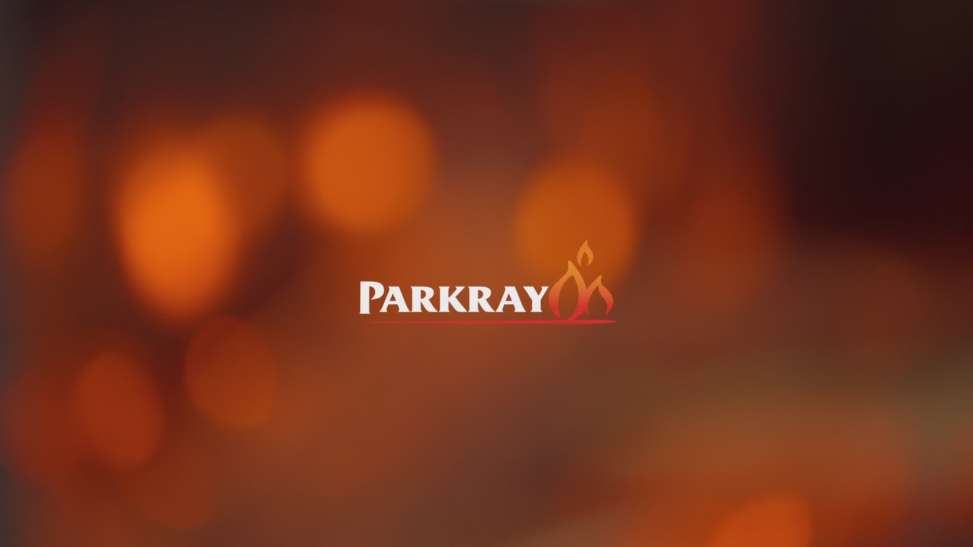 Parkray Arc Inset Electric - Calm Flame LED stove at The Stove House Ltd. West Sussex.
