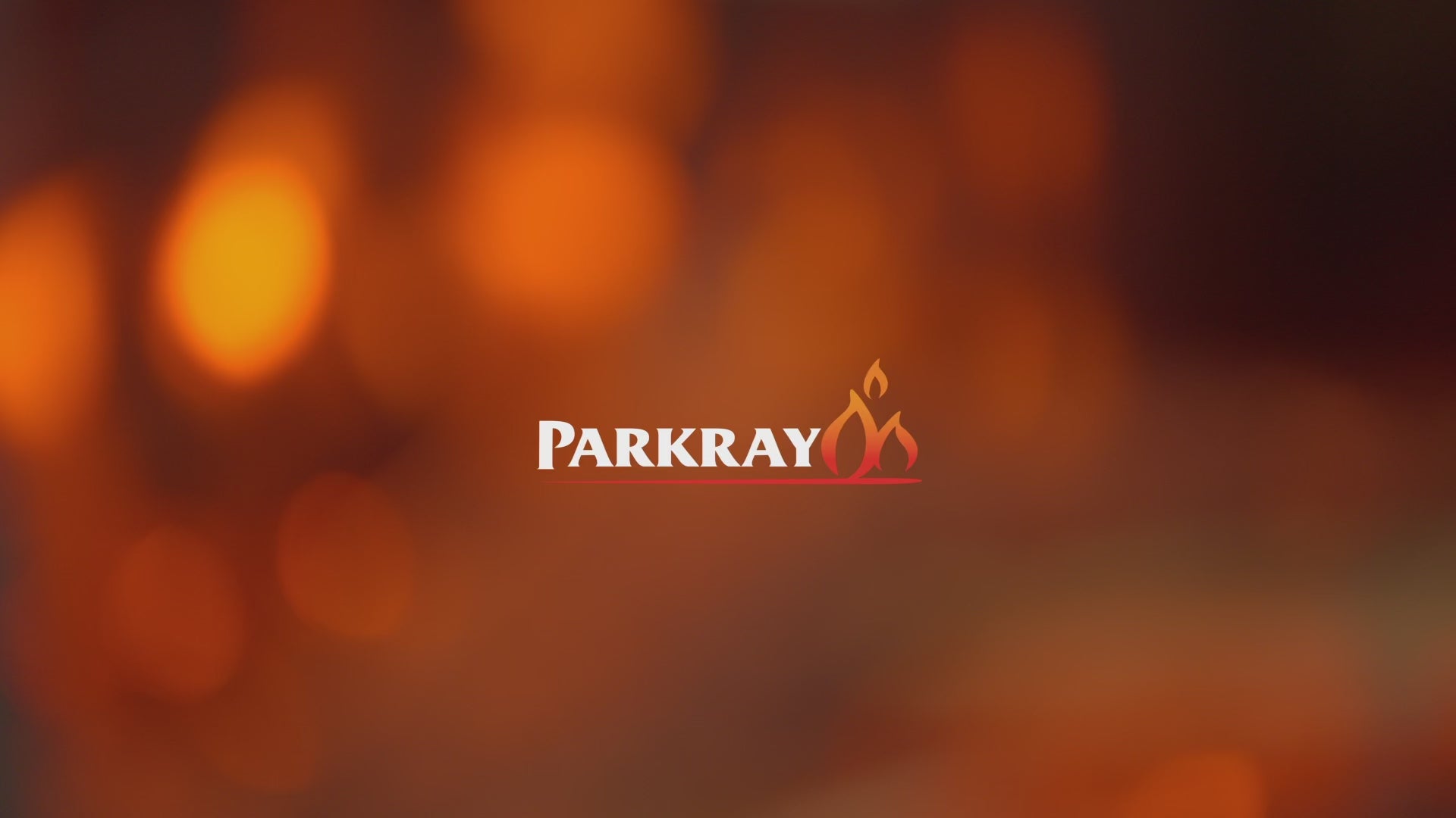 Parkray Arc Inset Electric - Pure Flame LCD stove at The Stove House Ltd. West Sussex.