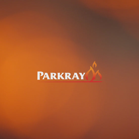 Parkray Aspect 5 Electric - Pure Flame LCD stove at The Stove House Ltd. West Sussex.
